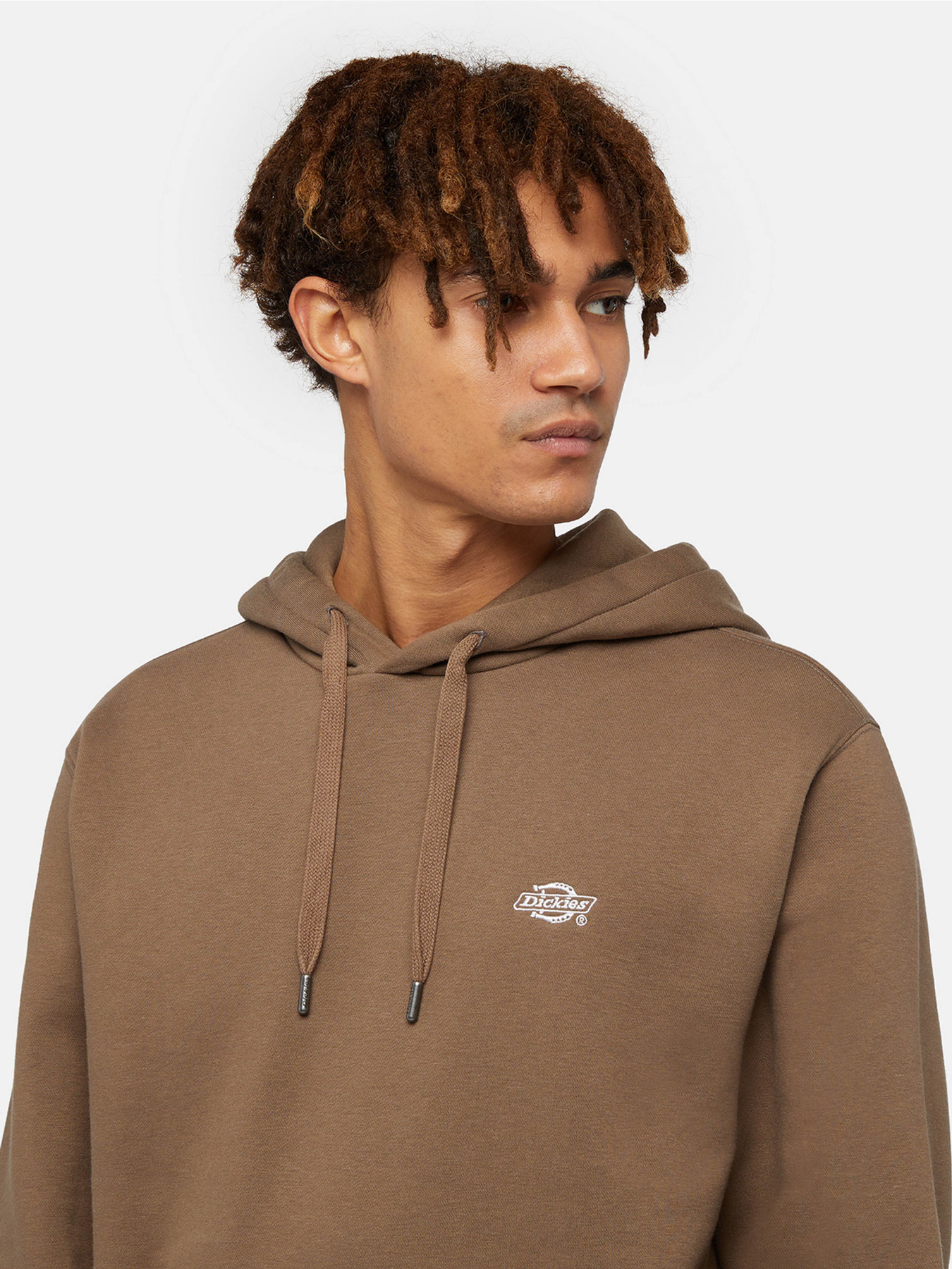 Худи Dickies Summerdale модель DK0A4Y6PMR11 Фото