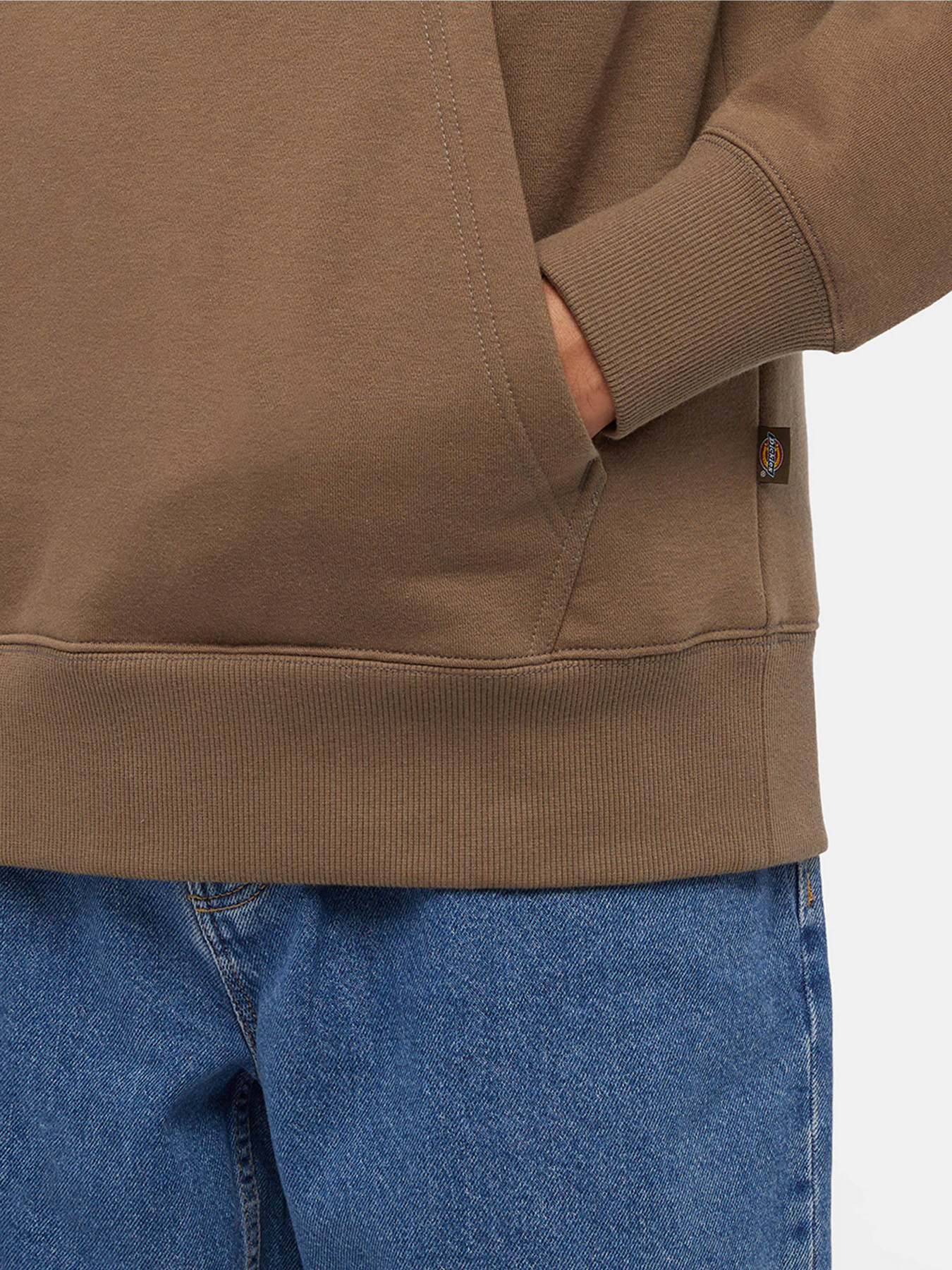 Худі та світшоти Dickies Summerdale модель DK0A4Y6PMR11 Худі та світшоти Dickies Summerdale модель DK0A4Y6PMR11 Фото