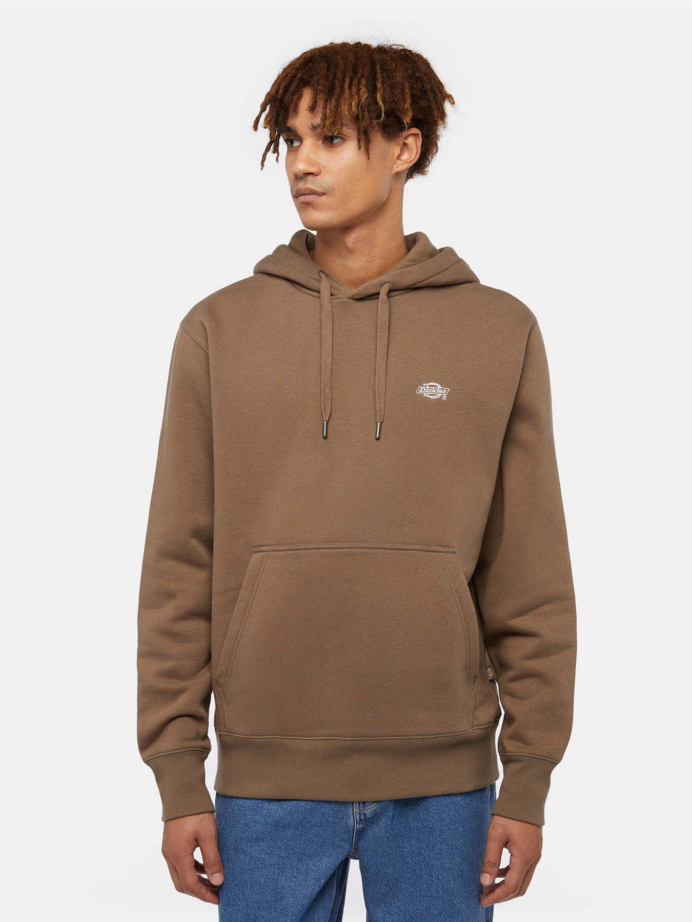 Худі та світшоти Dickies Summerdale модель DK0A4Y6PMR11 Худі та світшоти Dickies Summerdale модель DK0A4Y6PMR11 Фото