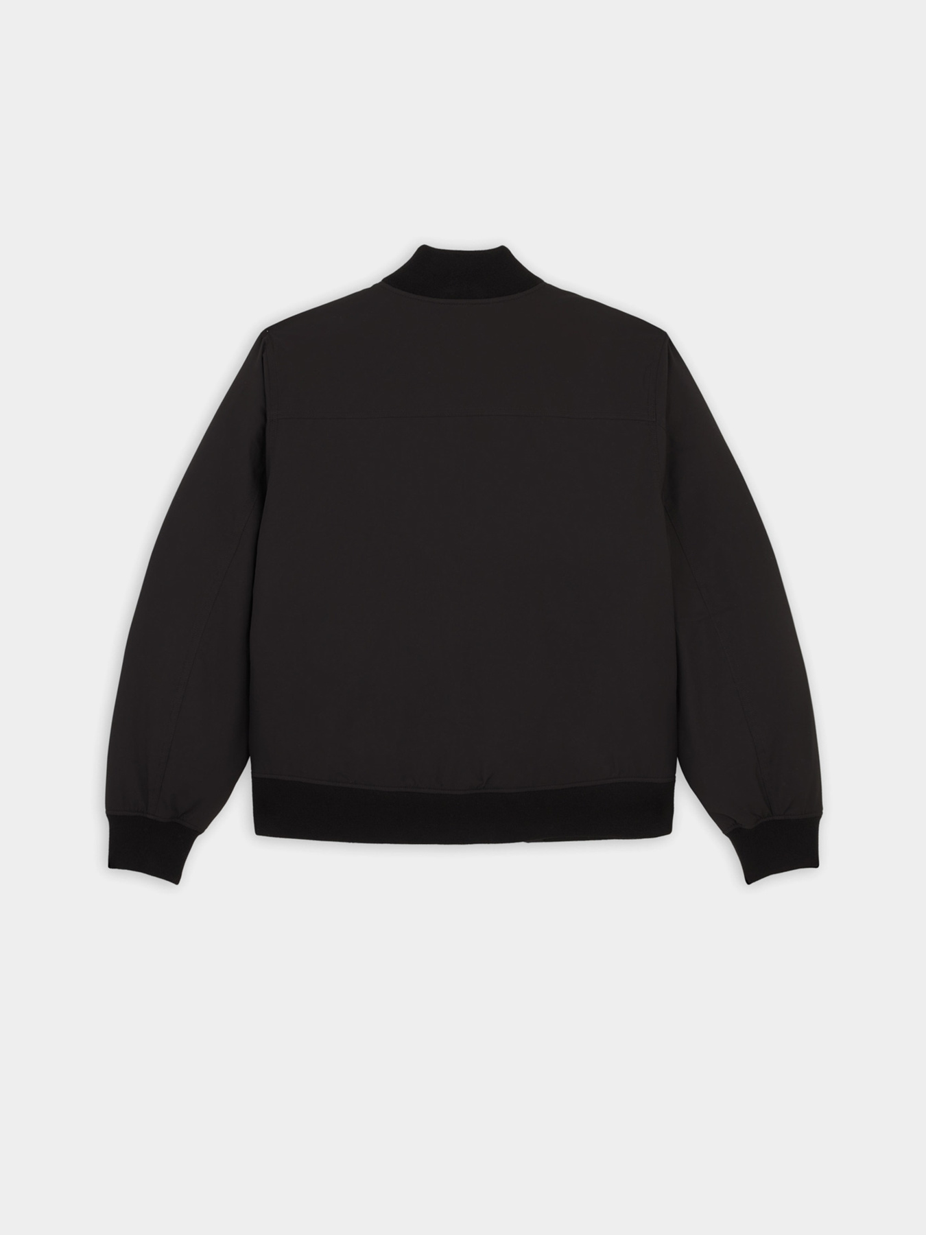 Бомбер Dickies Plains модель DK0A4Z4MBLK1 Фото