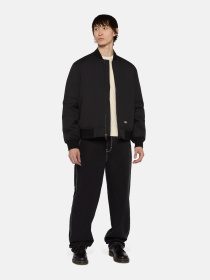 Бомбер Dickies Plains модель DK0A4Z4MBLK1 Фото