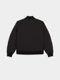 Бомбер Dickies Plains модель DK0A4Z4MBLK1 Фото