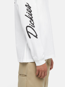 Лонгслив Dickies Graphic модель DK0A85SW0WH1 Фото