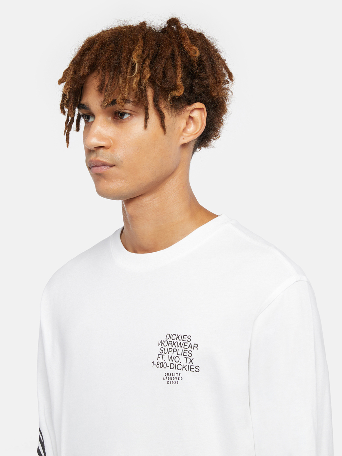 Лонгслив Dickies Graphic модель DK0A85SW0WH1 Лонгслив Dickies Graphic модель DK0A85SW0WH1 Фото