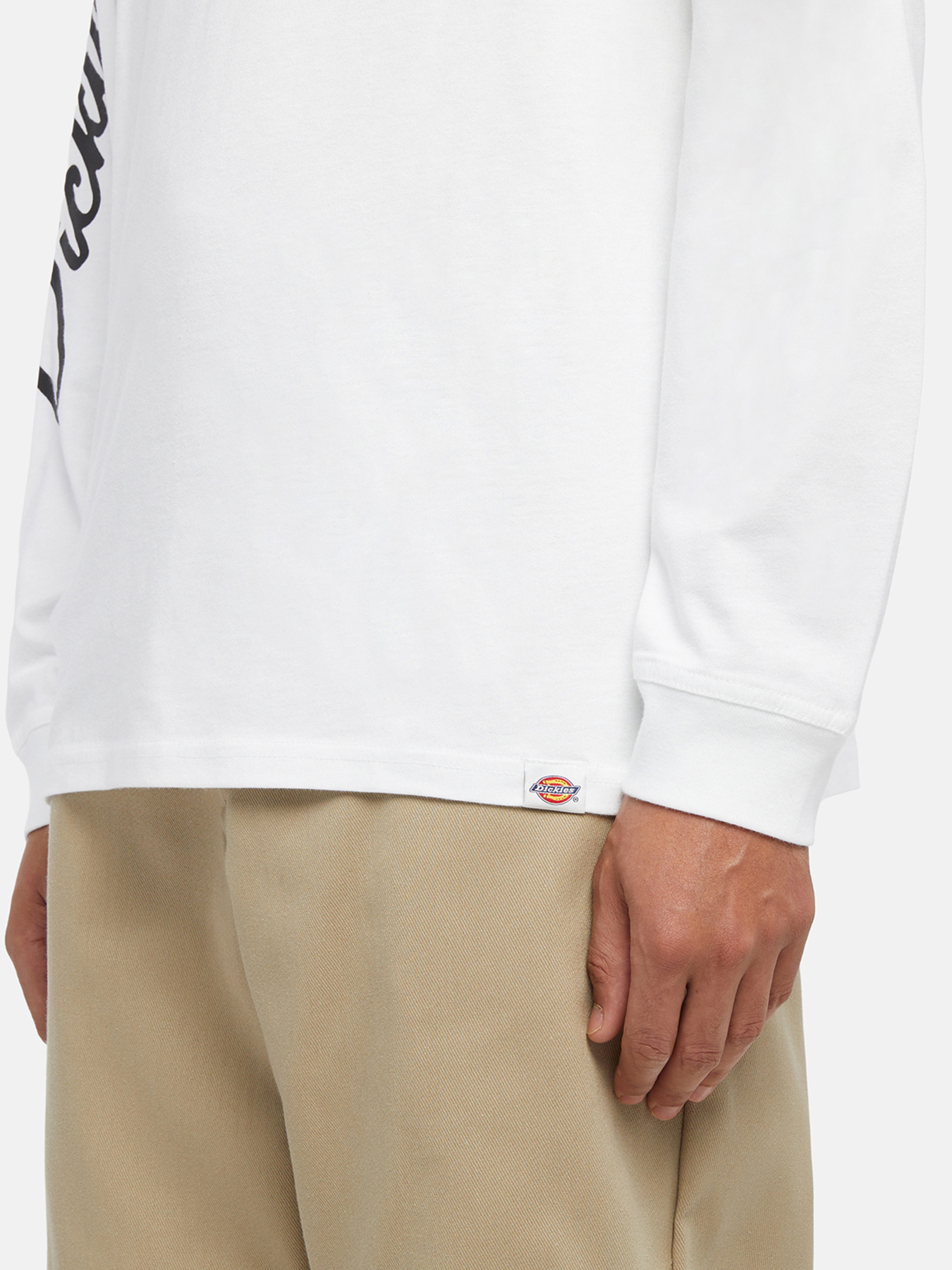 Лонгслив Dickies Graphic модель DK0A85SW0WH1 Лонгслив Dickies Graphic модель DK0A85SW0WH1 Фото