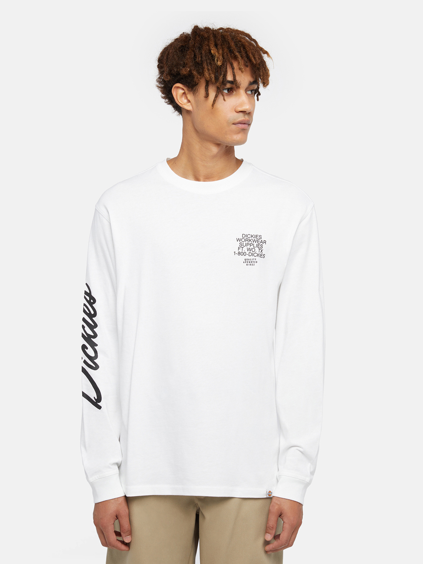 Лонгслив Dickies Graphic модель DK0A85SW0WH1 Лонгслив Dickies Graphic модель DK0A85SW0WH1 Фото