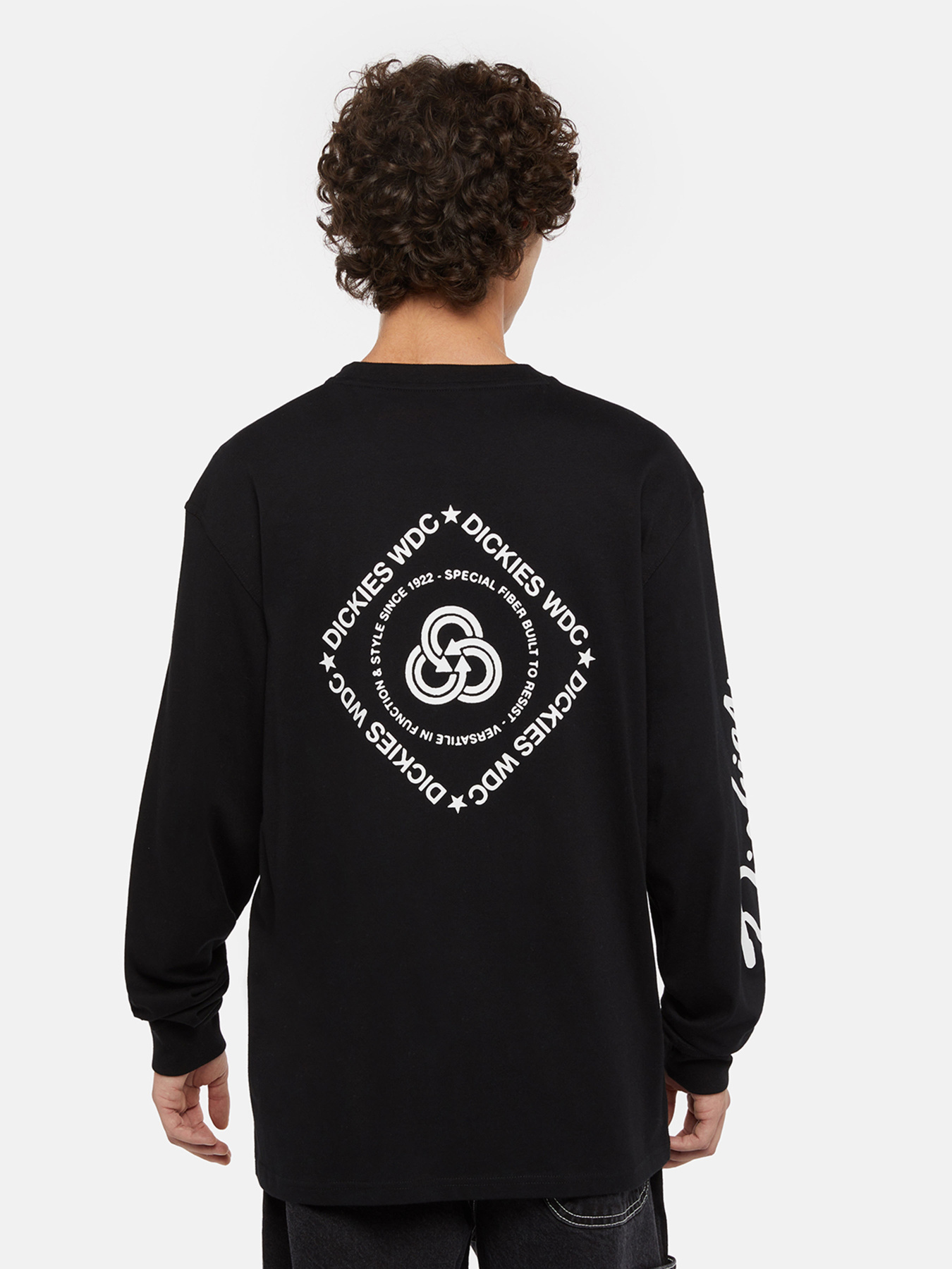 Лонгслив Dickies Industrial модель DK0A85SWBLK1 Фото