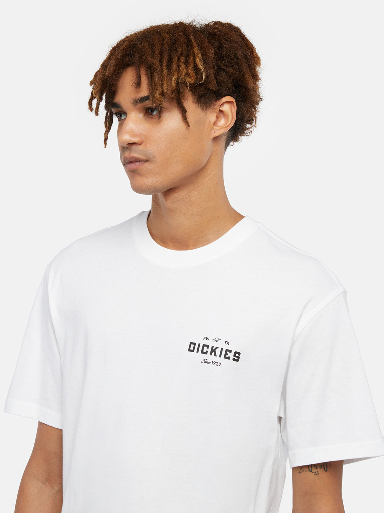 Футболка Dickies Graphic модель DK0A863E0WH1 Фото