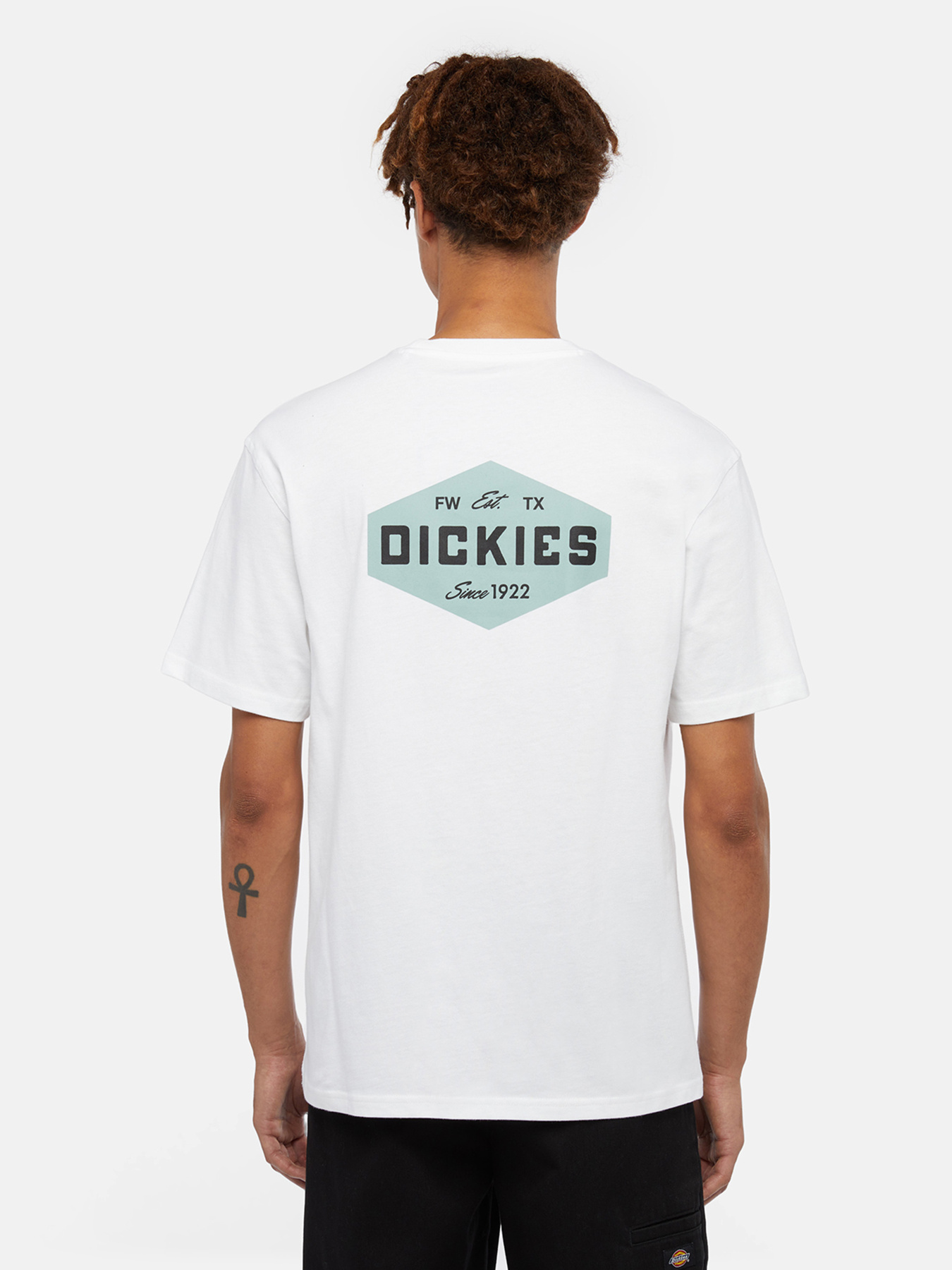 Футболка Dickies Graphic модель DK0A863E0WH1 Футболка Dickies Graphic модель DK0A863E0WH1 Фото