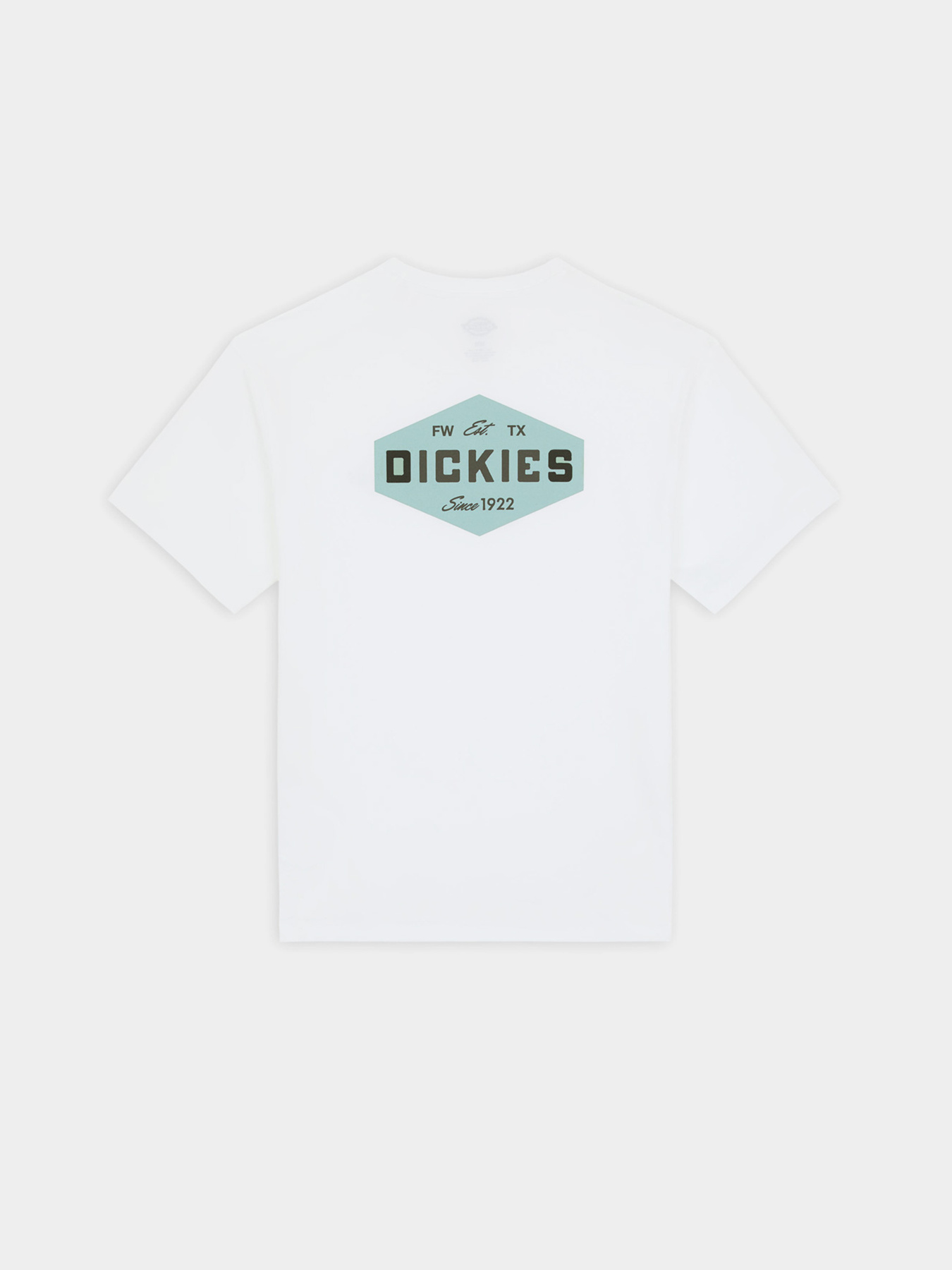 Футболки и поло Dickies Graphic модель DK0A863E0WH1 Фото