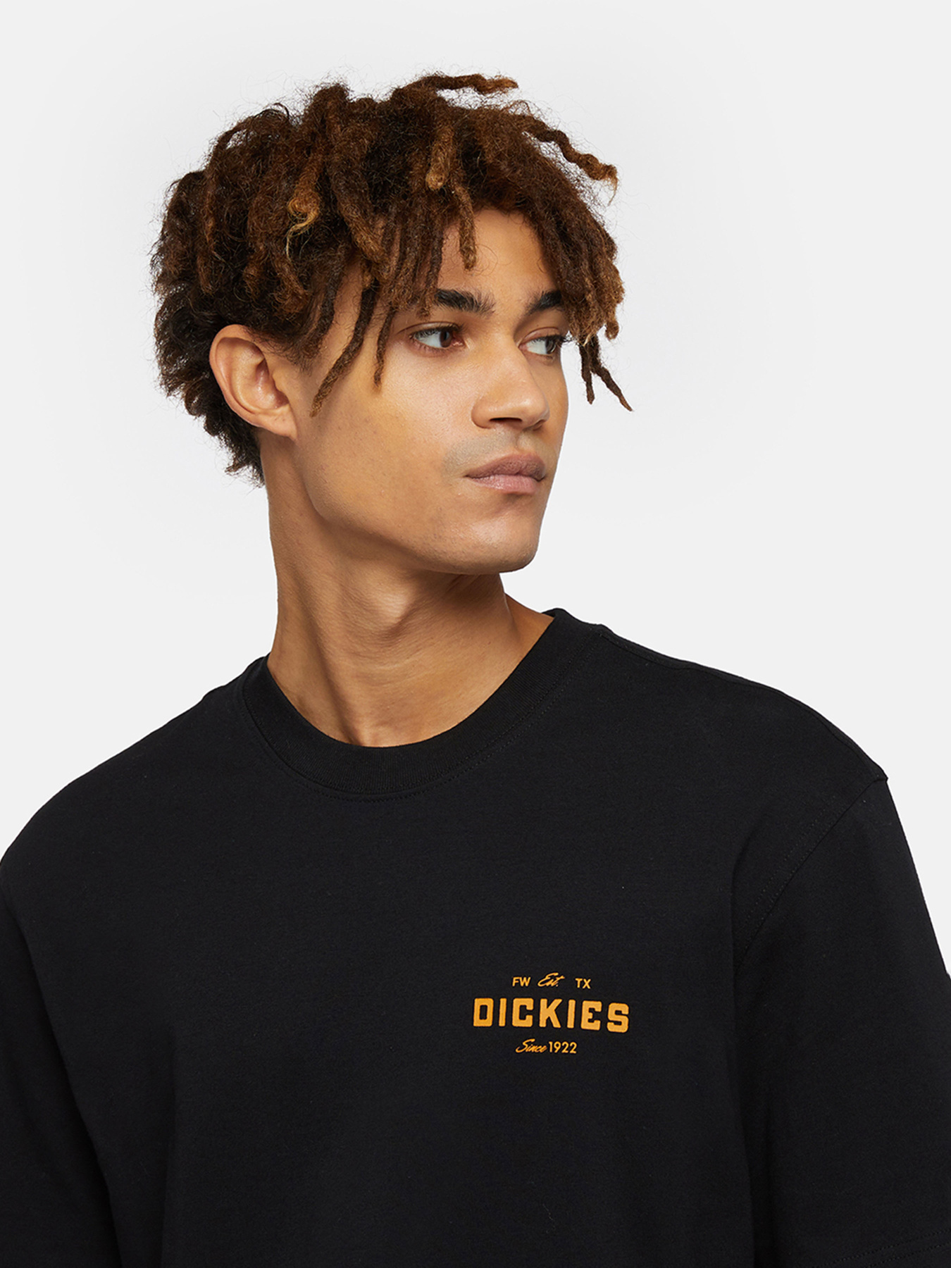 Футболка Dickies Emblem модель DK0A863EBLK1 Футболка Dickies Emblem модель DK0A863EBLK1 Фото