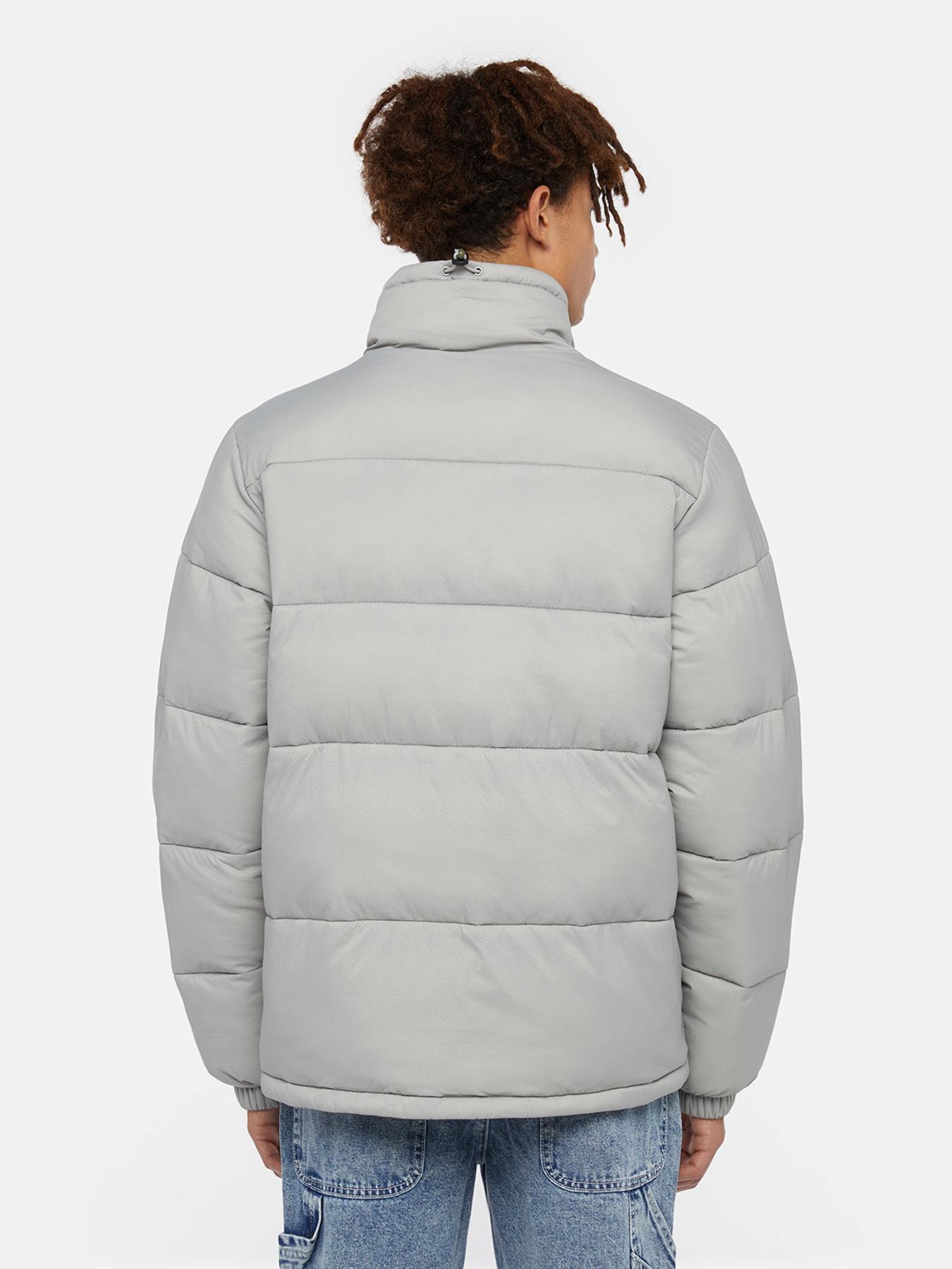 Зимова куртка Dickies Waldenburg модель DK0A4XP2D061 Фото