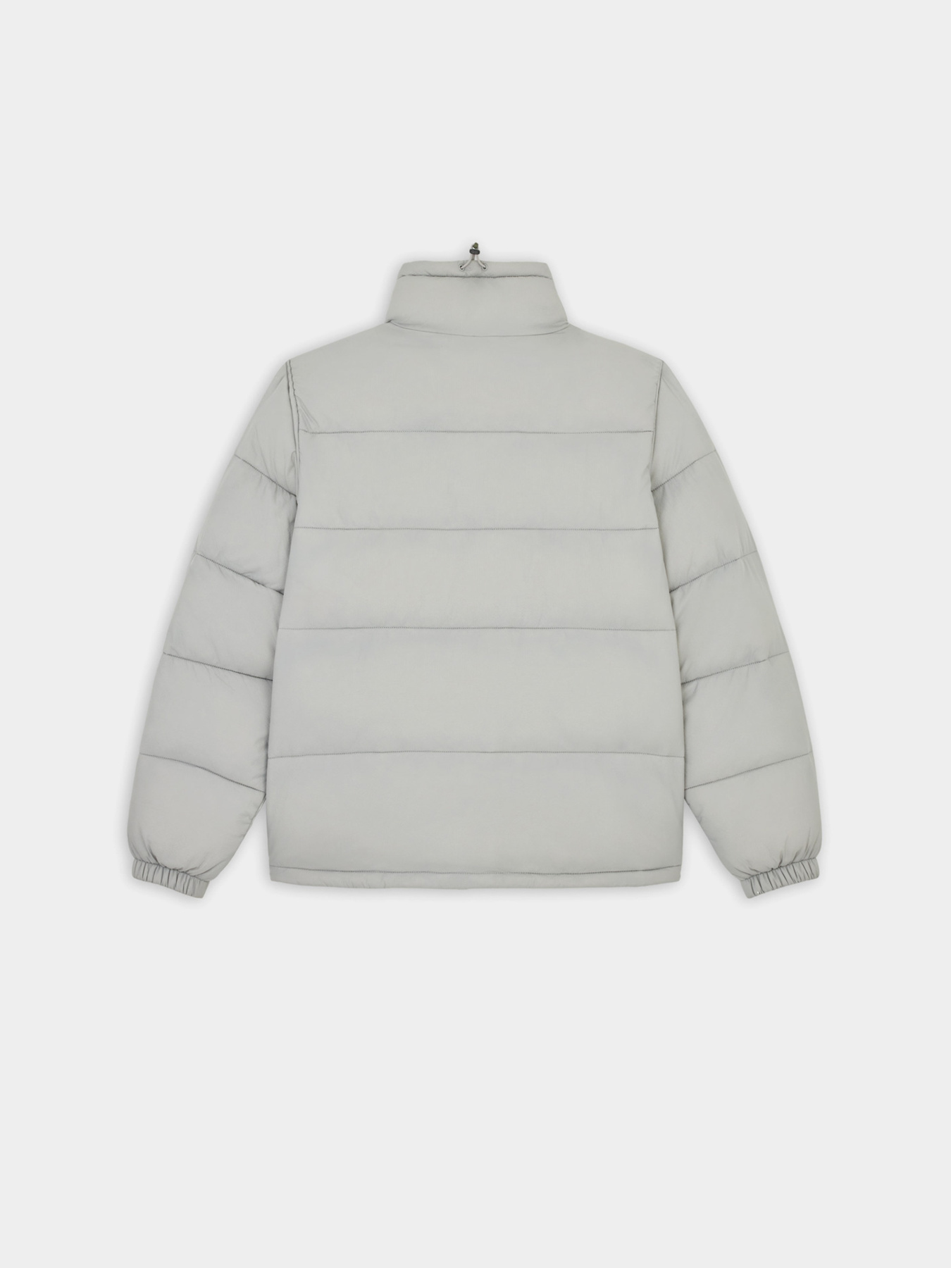 Зимова куртка Dickies Waldenburg модель DK0A4XP2D061 Фото