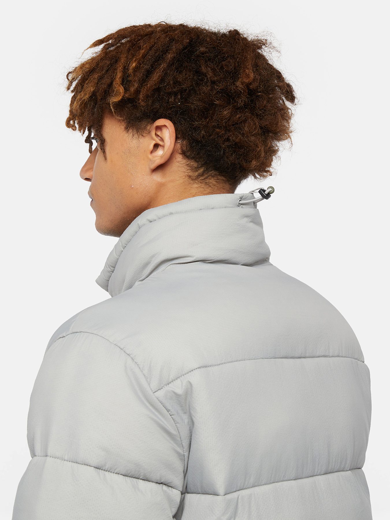 Зимняя куртка Dickies Waldenburg модель DK0A4XP2D061 Фото