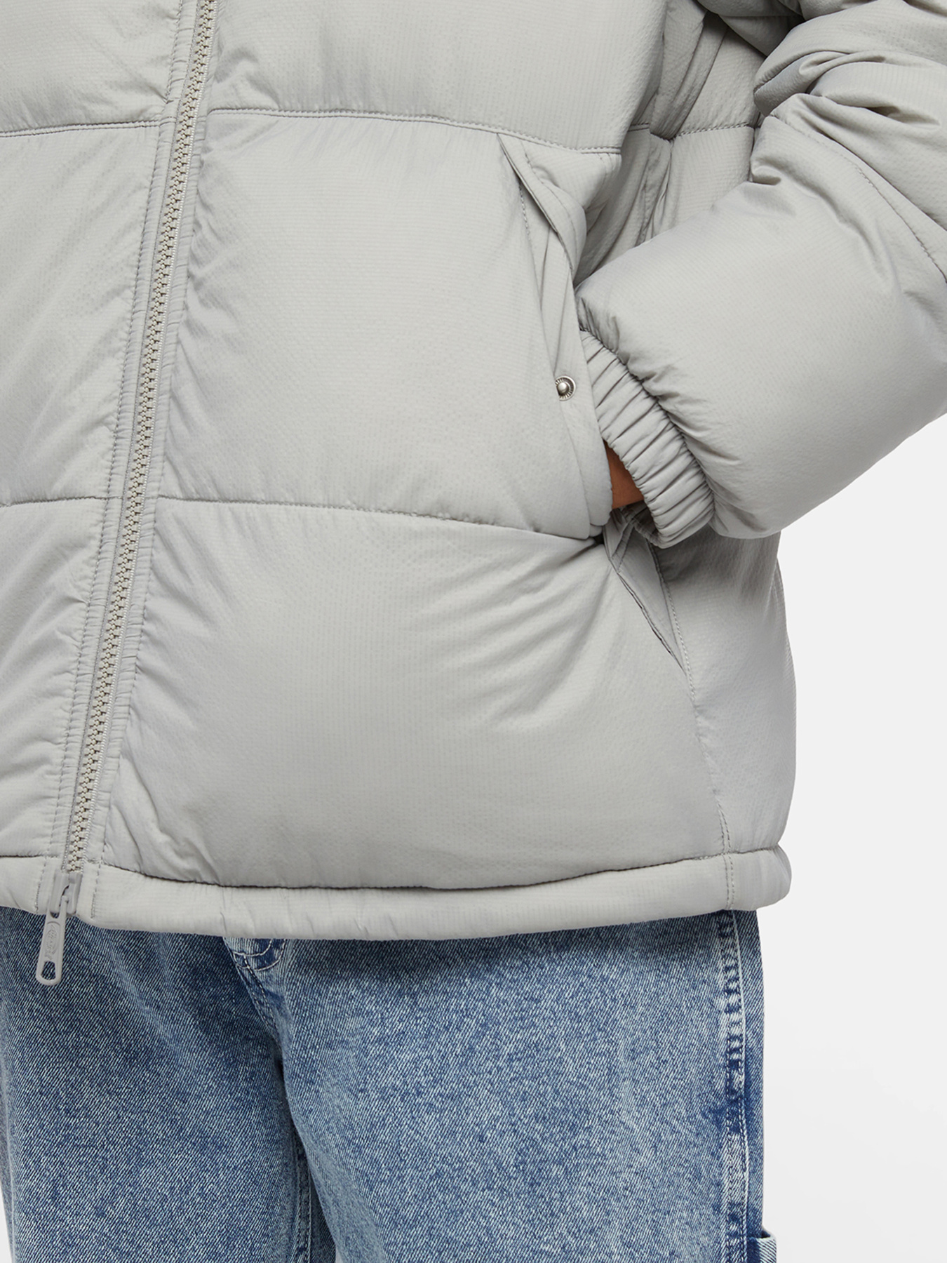 Зимняя куртка Dickies Waldenburg модель DK0A4XP2D061 Фото