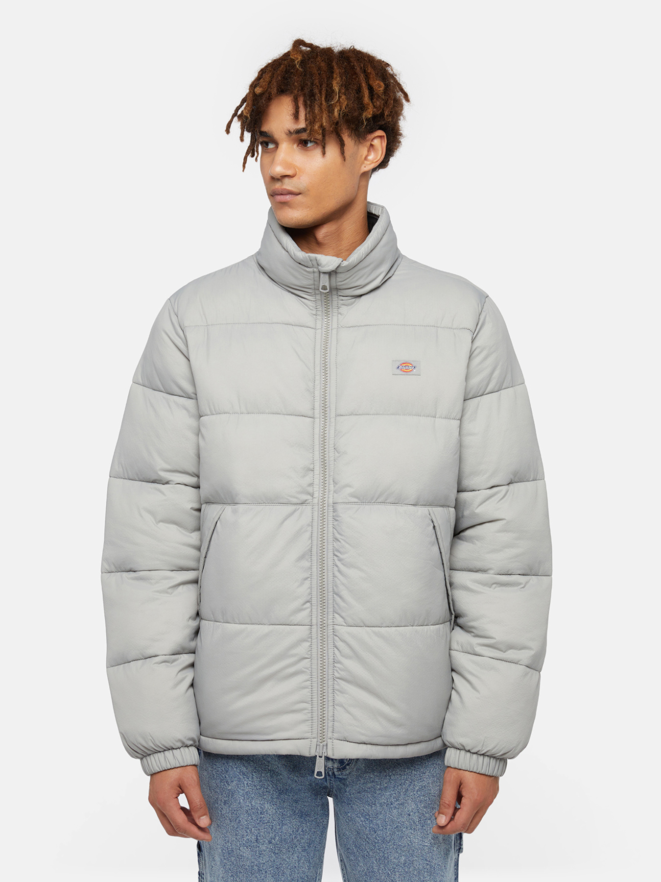 Зимняя куртка Dickies Waldenburg модель DK0A4XP2D061 Фото