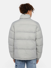 Зимняя куртка Dickies Waldenburg модель DK0A4XP2D061 Фото