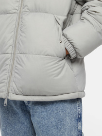 Зимняя куртка Dickies Waldenburg модель DK0A4XP2D061 Фото