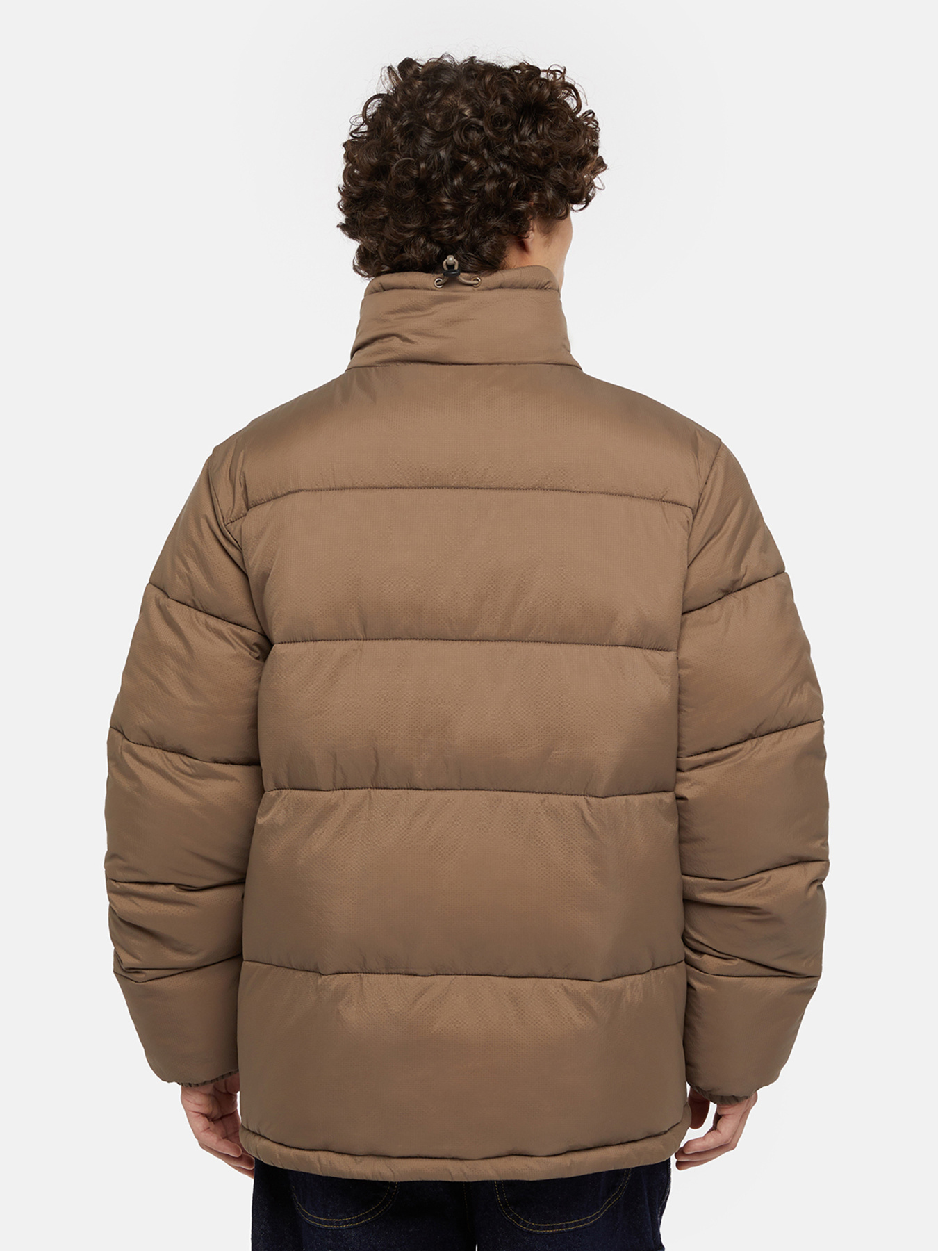 Зимова куртка Dickies Waldenburg модель DK0A4XP2MR11 Фото