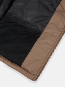 Зимова куртка Dickies Waldenburg модель DK0A4XP2MR11 Фото