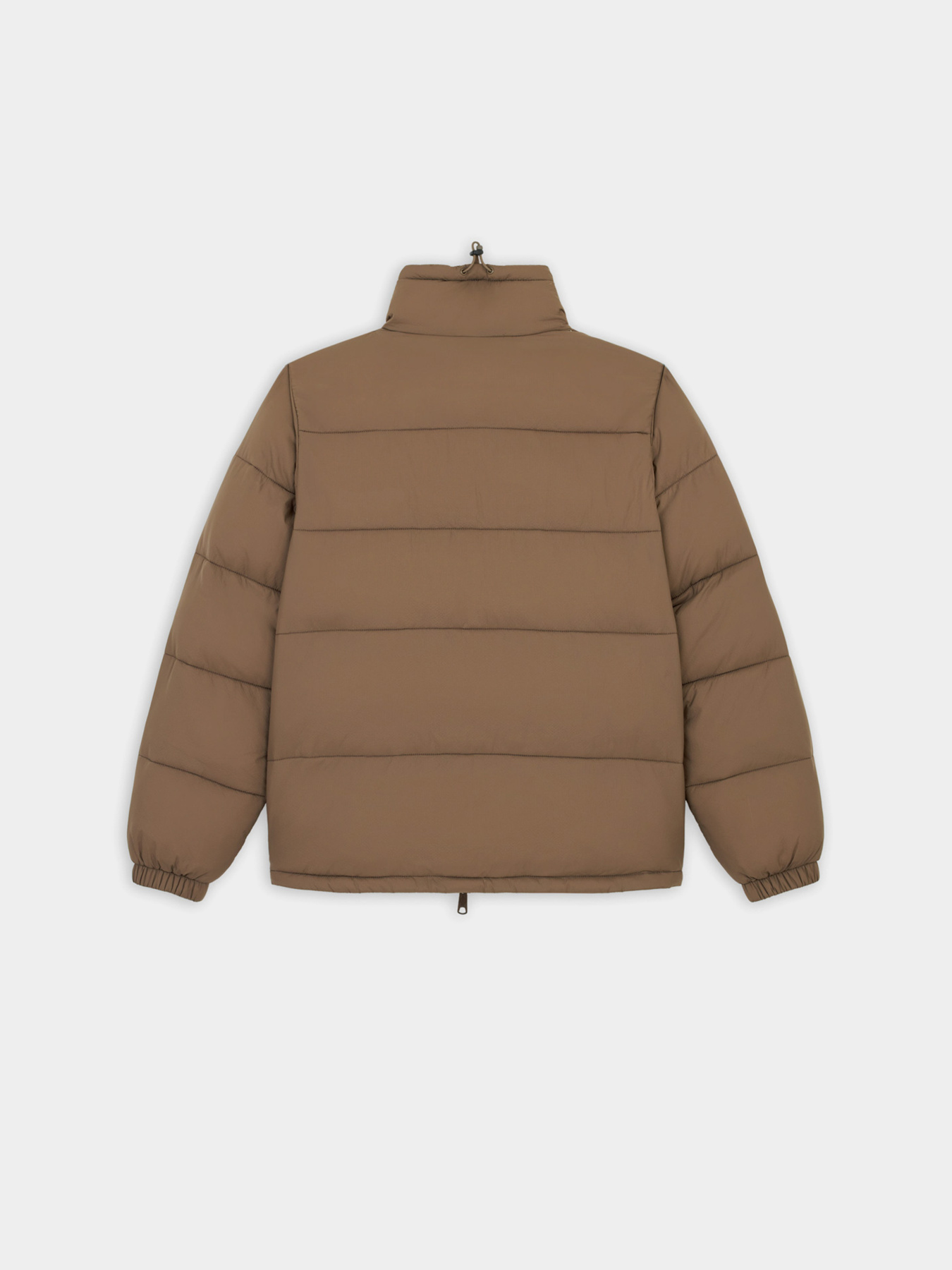 Зимняя куртка Dickies Waldenburg модель DK0A4XP2MR11 Фото