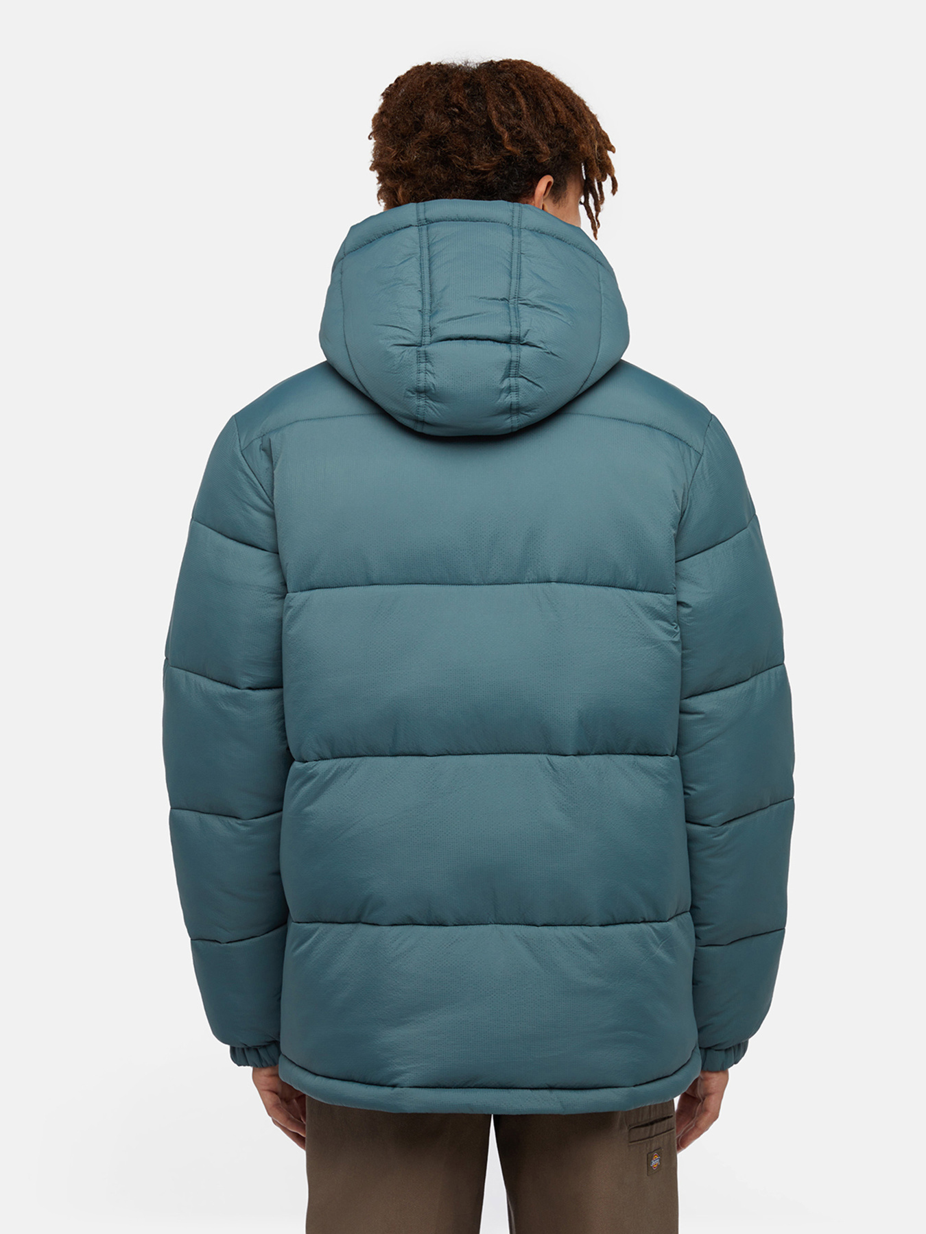 Зимняя куртка Dickies Waldenburg модель DK0A4YEY0LN1 Фото