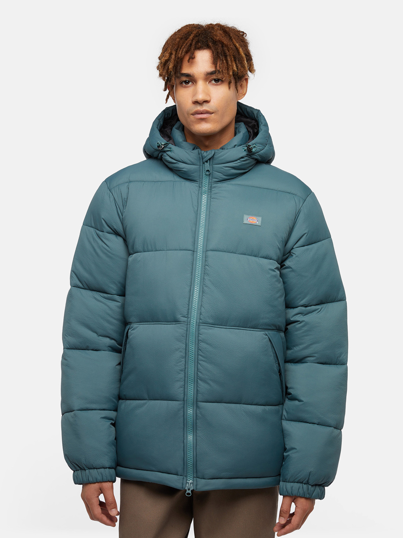 Зимняя куртка Dickies Waldenburg модель DK0A4YEY0LN1 Фото