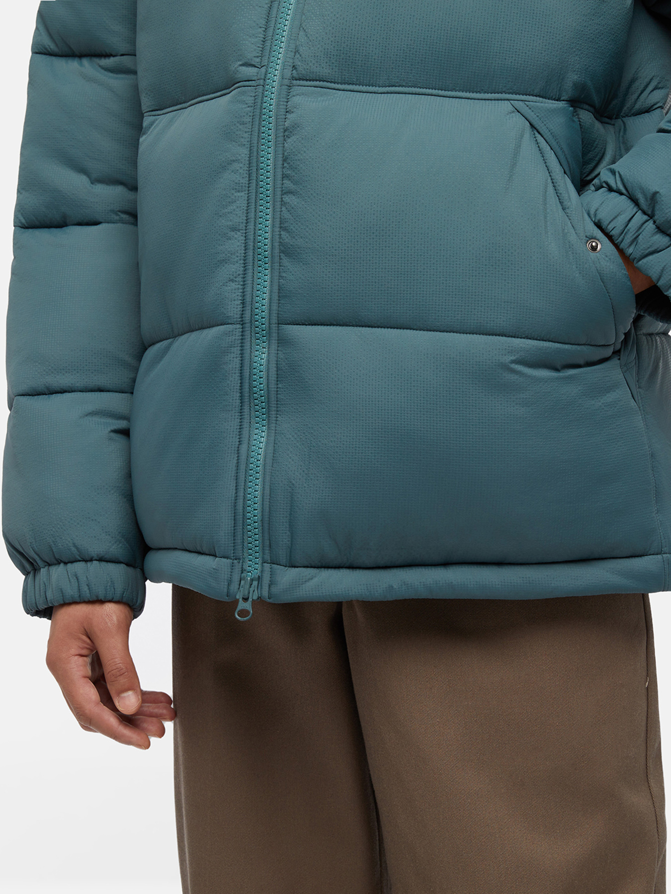 Зимова куртка Dickies Waldenburg модель DK0A4YEY0LN1 Фото