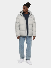 Зимова куртка Dickies Waldenburg модель DK0A4YEYD061 Фото