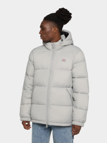 Зимняя куртка Dickies Waldenburg модель DK0A4YEYD061 Фото