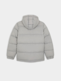 Зимова куртка Dickies Waldenburg модель DK0A4YEYD061 Фото