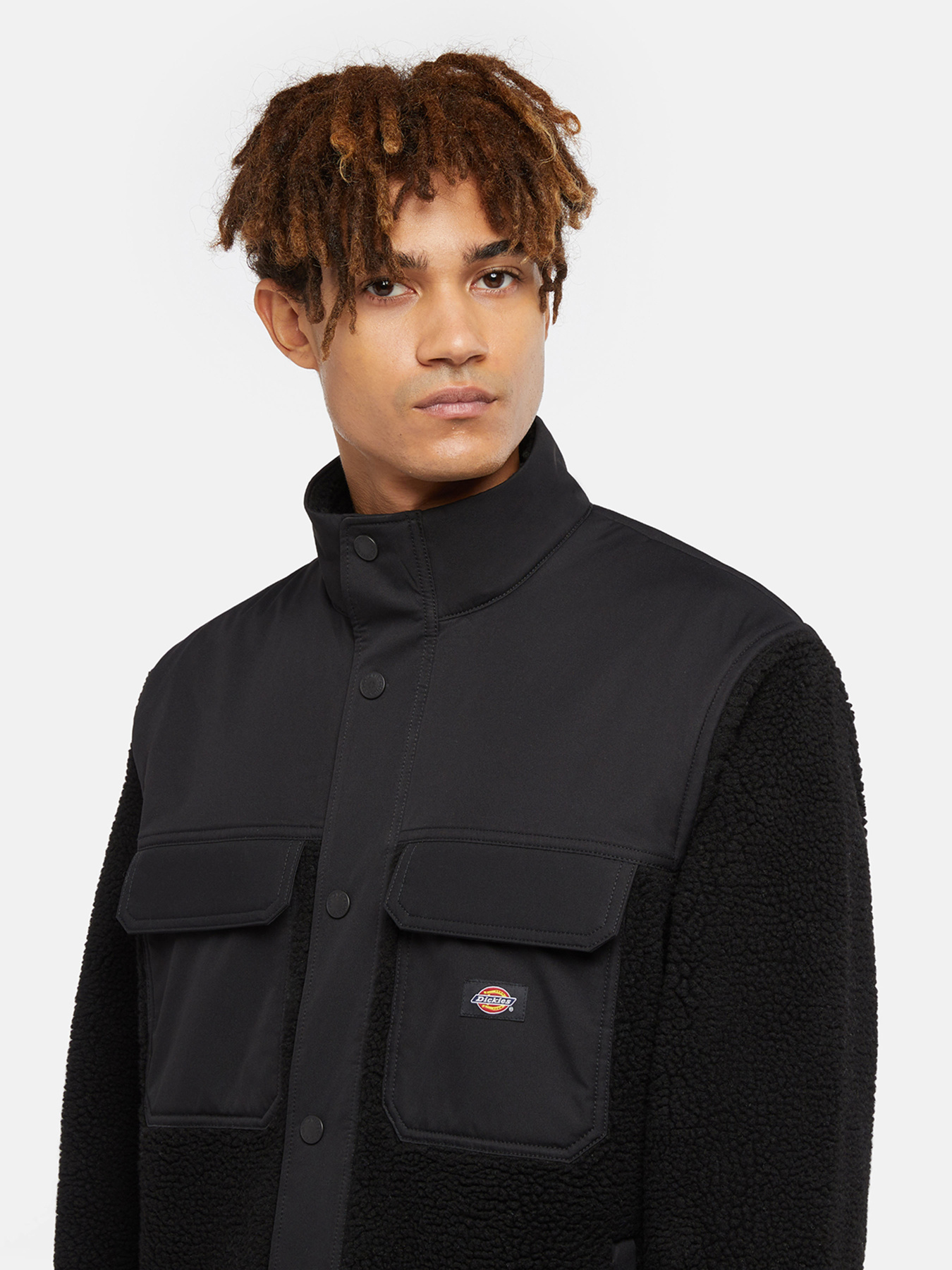 Dickies модель DK0A4Z2QBLK1 Фото