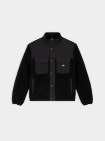 Dickies модель DK0A4Z2QBLK1 Фото