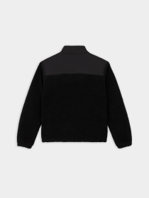 Dickies модель DK0A4Z2QBLK1 Фото