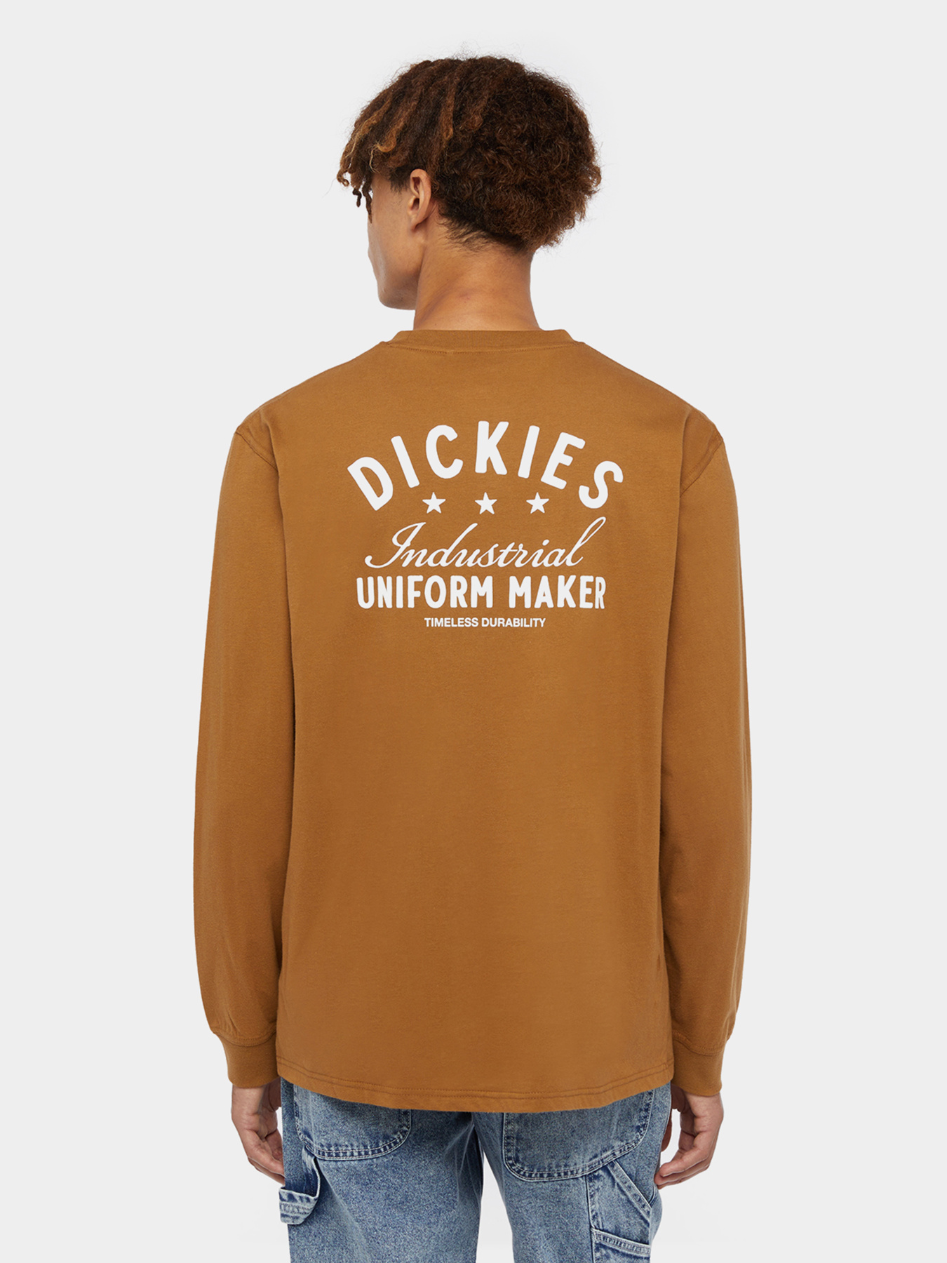 Лонгслив Dickies Trego модель DK0A4Z3O0BD1 Фото