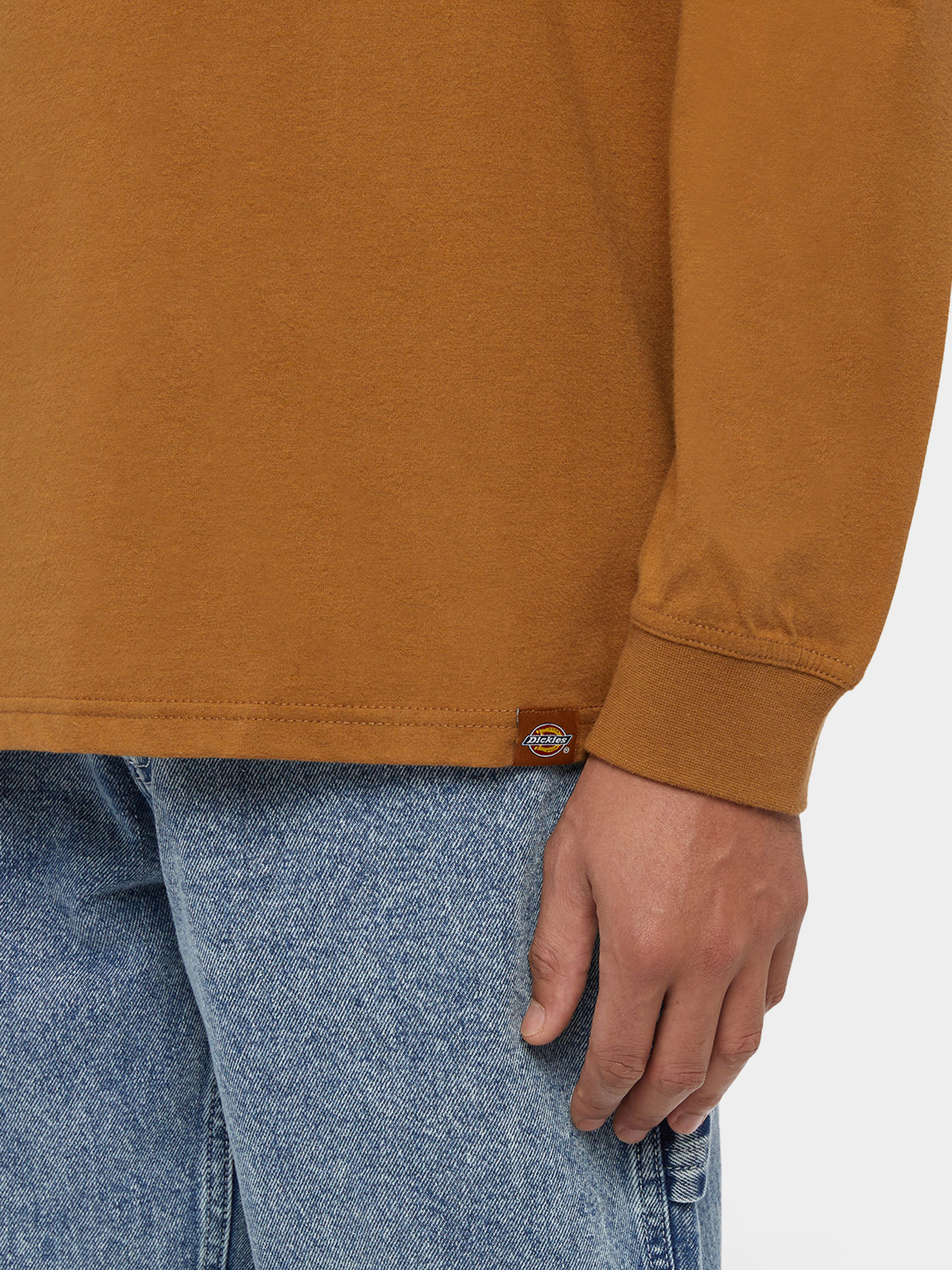 Лонгслив Dickies Trego модель DK0A4Z3O0BD1 Фото