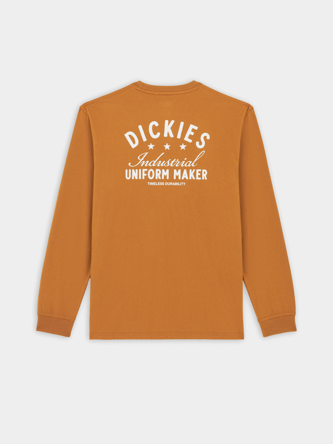 Лонгслив Dickies Trego модель DK0A4Z3O0BD1 Фото