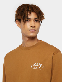 Лонгслив Dickies Trego модель DK0A4Z3O0BD1 Фото