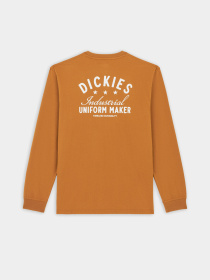 Лонгслив Dickies Trego модель DK0A4Z3O0BD1 Фото