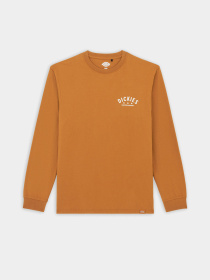 Лонгслів Dickies Trego модель DK0A4Z3O0BD1 Фото