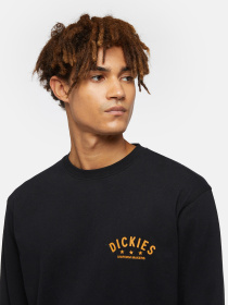 Лонгслив Dickies Trego модель DK0A4Z3OBLK1 Фото