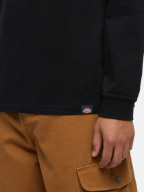 Лонгслив Dickies Trego модель DK0A4Z3OBLK1 Лонгслив Dickies Trego модель DK0A4Z3OBLK1 Фото
