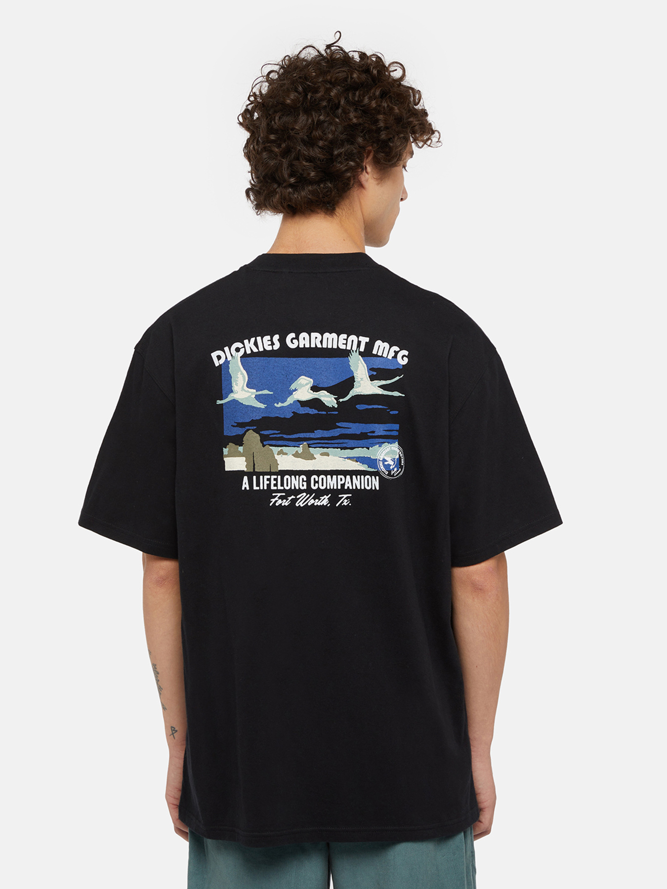 Футболка Dickies Companion модель DK0A4Z3PBLK1 Фото