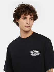 Футболка Dickies Companion модель DK0A4Z3PBLK1 Фото
