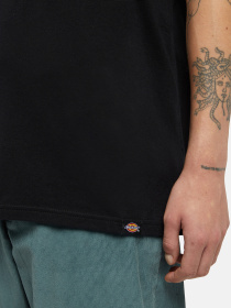 Футболка Dickies Companion модель DK0A4Z3PBLK1 Фото