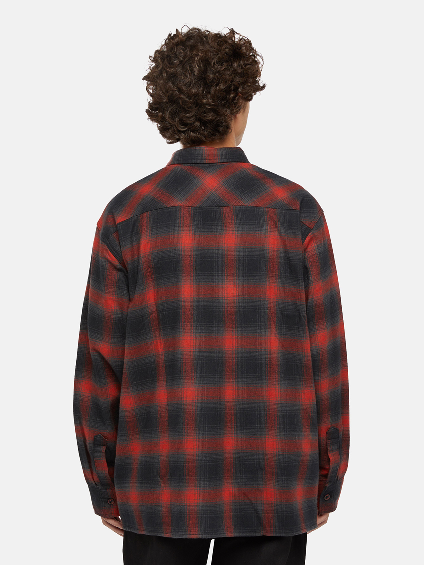Сорочка повсякденна Dickies x Spitfire Flannel модель DK0A865NJ571 Фото