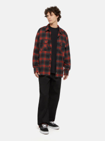 Сорочка повсякденна Dickies x Spitfire Flannel модель DK0A865NJ571 Фото