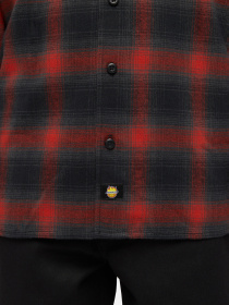 Сорочка повсякденна Dickies x Spitfire Flannel модель DK0A865NJ571 Фото