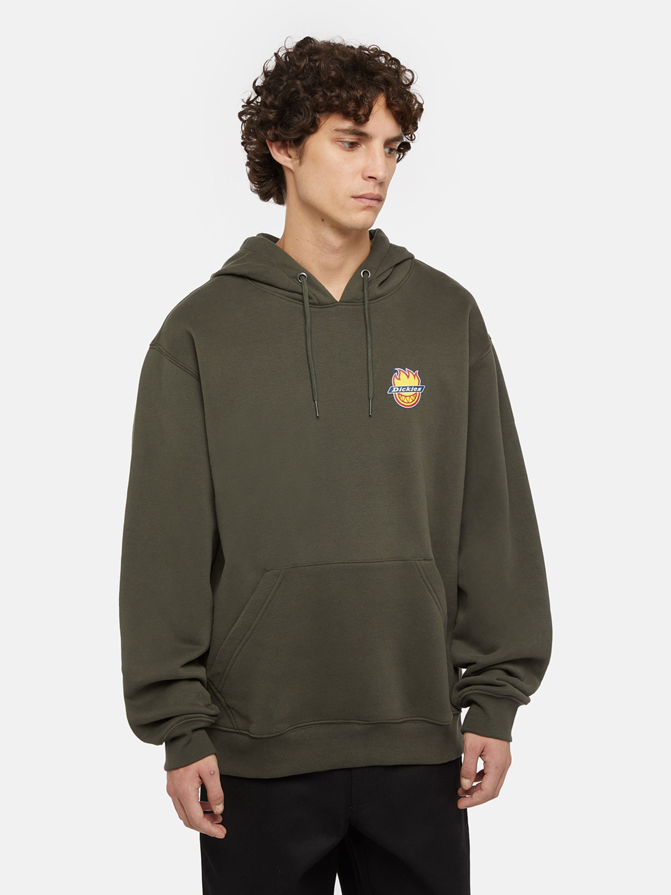 Худи Dickies x Spitfire модель DK0A865O0OG1 Фото