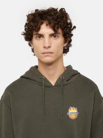 Худи Dickies x Spitfire модель DK0A865O0OG1 Фото